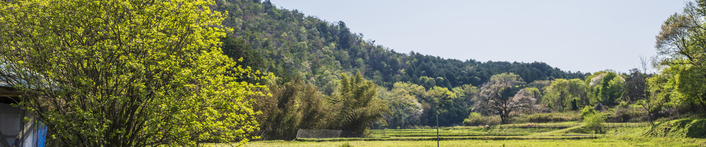 黒毛和牛・丹波牛 いづつ屋 牧場だより